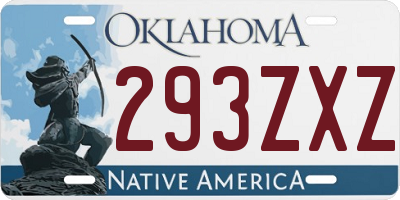 OK license plate 293ZXZ