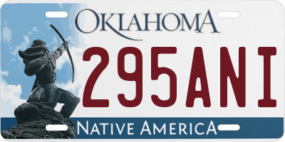 OK license plate 295ANI