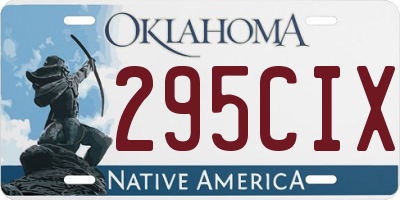 OK license plate 295CIX