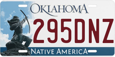 OK license plate 295DNZ