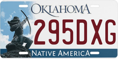 OK license plate 295DXG