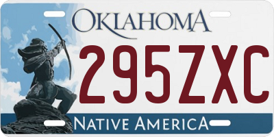 OK license plate 295ZXC