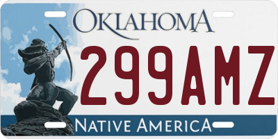 OK license plate 299AMZ