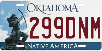 OK license plate 299DNM