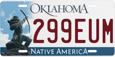 OK license plate 299EUM