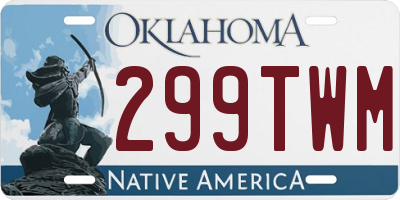 OK license plate 299TWM