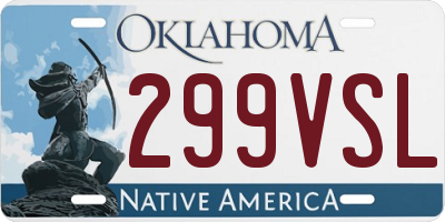 OK license plate 299VSL