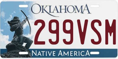 OK license plate 299VSM