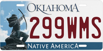 OK license plate 299WMS