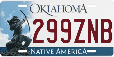 OK license plate 299ZNB