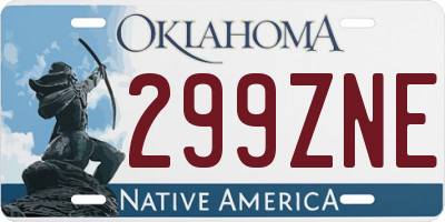 OK license plate 299ZNE