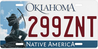 OK license plate 299ZNT