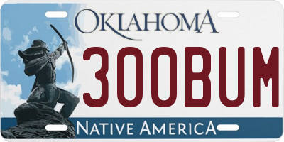 OK license plate 300BUM