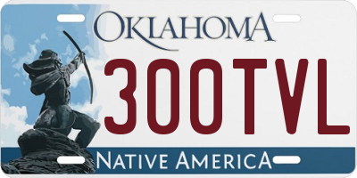 OK license plate 300TVL