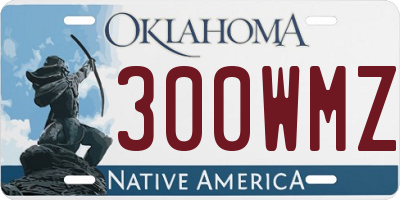 OK license plate 300WMZ