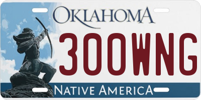 OK license plate 300WNG