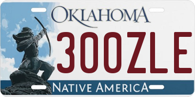 OK license plate 300ZLE