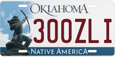 OK license plate 300ZLI