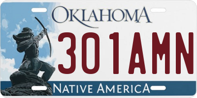 OK license plate 301AMN