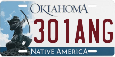 OK license plate 301ANG