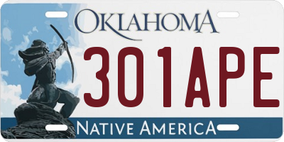 OK license plate 301APE