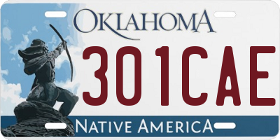 OK license plate 301CAE