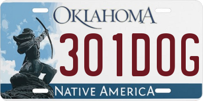 OK license plate 301DOG