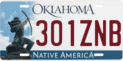 OK license plate 301ZNB