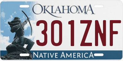 OK license plate 301ZNF