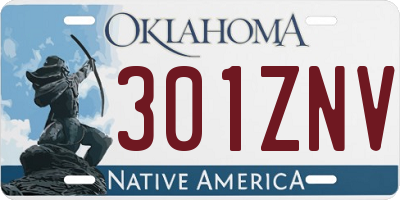 OK license plate 301ZNV