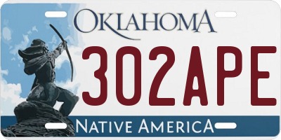 OK license plate 302APE
