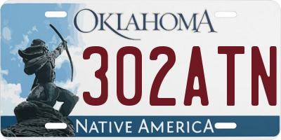 OK license plate 302ATN