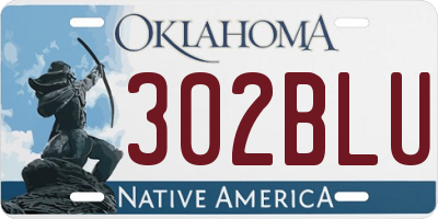 OK license plate 302BLU