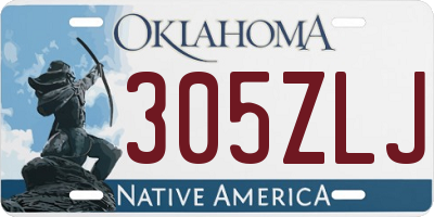 OK license plate 305ZLJ