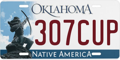 OK license plate 307CUP