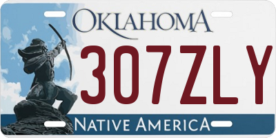 OK license plate 307ZLY