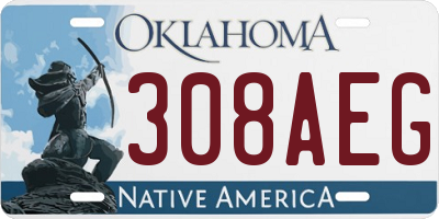 OK license plate 308AEG