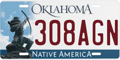 OK license plate 308AGN