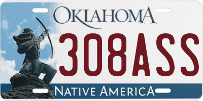 OK license plate 308ASS