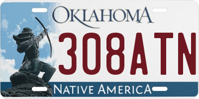 OK license plate 308ATN
