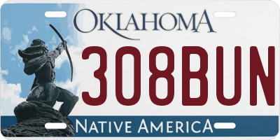 OK license plate 308BUN
