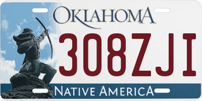 OK license plate 308ZJI