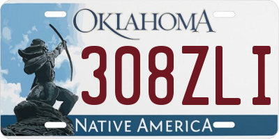 OK license plate 308ZLI