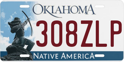 OK license plate 308ZLP