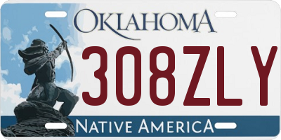 OK license plate 308ZLY