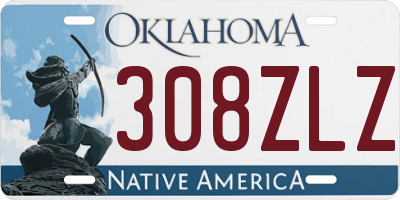 OK license plate 308ZLZ