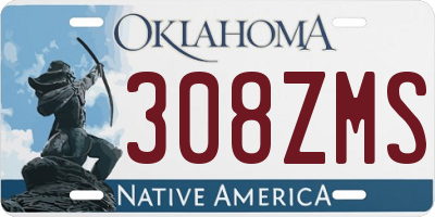 OK license plate 308ZMS