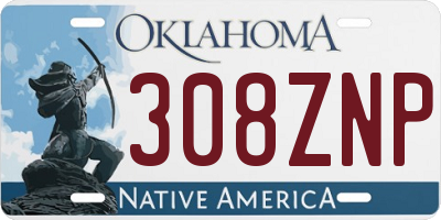 OK license plate 308ZNP