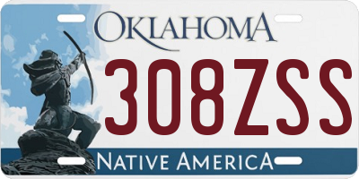 OK license plate 308ZSS