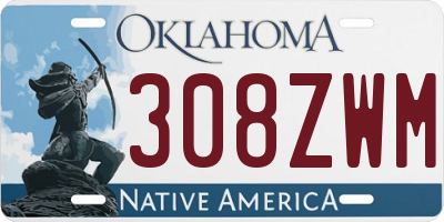 OK license plate 308ZWM